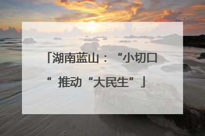 湖南蓝山：“小切口”推动“大民生”