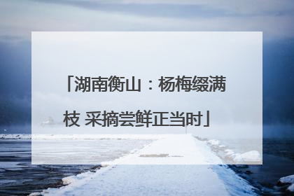湖南衡山：杨梅缀满枝 采摘尝鲜正当时