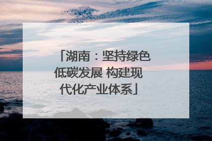 湖南：坚持绿色低碳发展 构建现代化产业体系