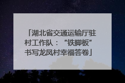 湖北省交通运输厅驻村工作队：“铁脚板”书写龙凤村幸福答卷