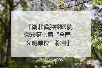 湖北省肿瘤医院荣获第七届“全国文明单位”称号
