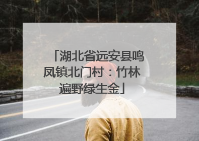 湖北省远安县鸣凤镇北门村：竹林遍野绿生金