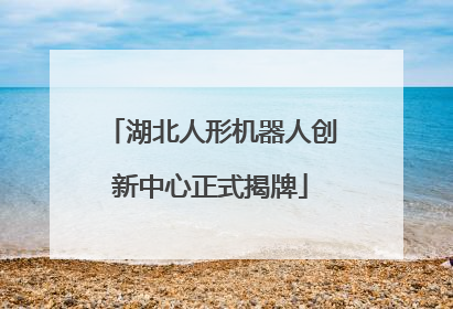 湖北人形机器人创新中心正式揭牌