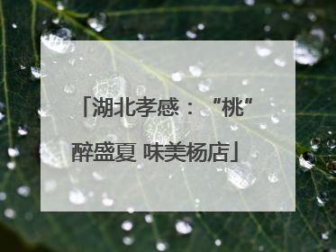 湖北孝感：“桃”醉盛夏 味美杨店