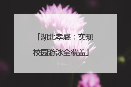 湖北孝感：实现校园游泳全覆盖