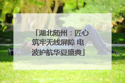 湖北随州：匠心筑牢无线屏障 电波护航华夏盛典