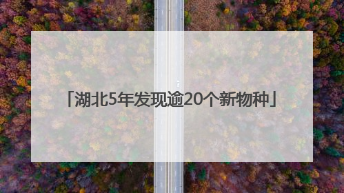 湖北5年发现逾20个新物种