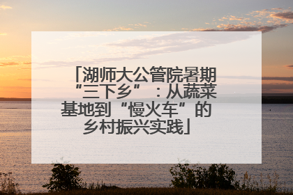 湖师大公管院暑期“三下乡”：从蔬菜基地到“慢火车”的乡村振兴实践