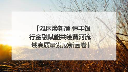 滩区焕新颜 恒丰银行金融赋能共绘黄河流域高质量发展新画卷
