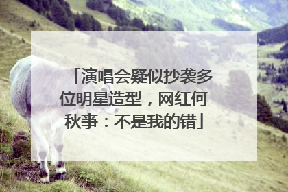 演唱会疑似抄袭多位明星造型，网红何秋亊：不是我的错