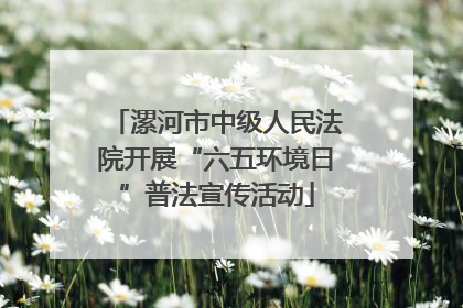 漯河市中级人民法院开展“六五环境日”普法宣传活动