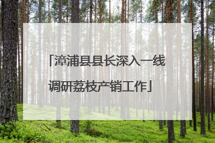 漳浦县县长深入一线调研荔枝产销工作