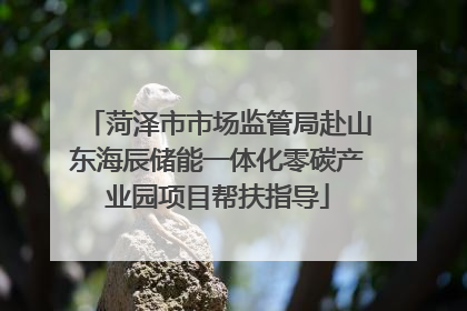 菏泽市市场监管局赴山东海辰储能一体化零碳产业园项目帮扶指导