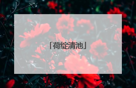 荷绽清池