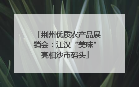 荆州优质农产品展销会：江汉“美味”亮相沙市码头