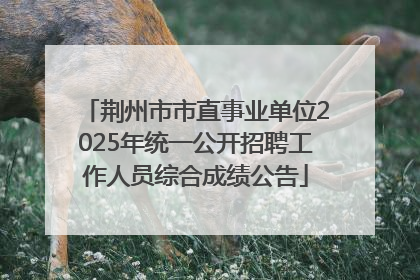 荆州市市直事业单位2025年统一公开招聘工作人员综合成绩公告