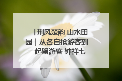 荆风楚韵 山水田园｜从各自抢游客到一起留游客 钟祥七村抱团解了“乡愁”添了“乡酬”
