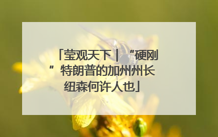 莹观天下｜“硬刚”特朗普的加州州长纽森何许人也