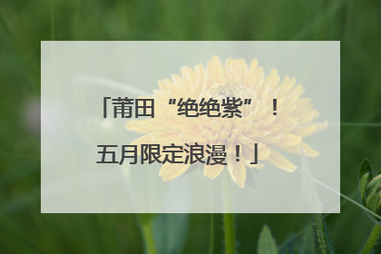 莆田“绝绝紫”！五月限定浪漫！