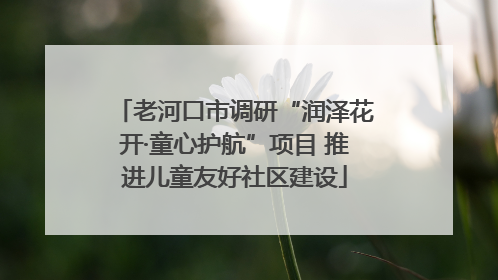 老河口市调研“润泽花开·童心护航”项目 推进儿童友好社区建设