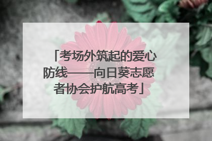 考场外筑起的爱心防线——向日葵志愿者协会护航高考