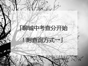 聊城中考查分开始！附查询方式→