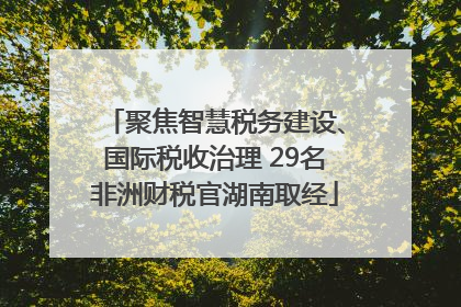 聚焦智慧税务建设、国际税收治理 29名非洲财税官湖南取经