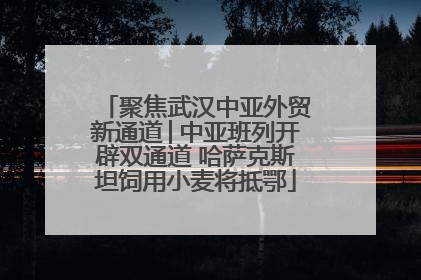 聚焦武汉中亚外贸新通道│中亚班列开辟双通道 哈萨克斯坦饲用小麦将抵鄂