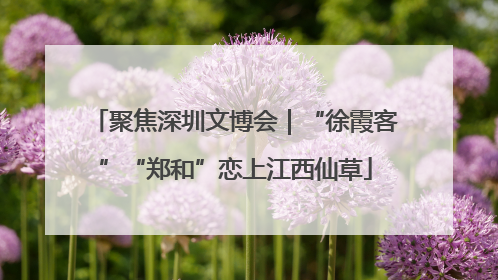 聚焦深圳文博会｜“徐霞客”“郑和”恋上江西仙草