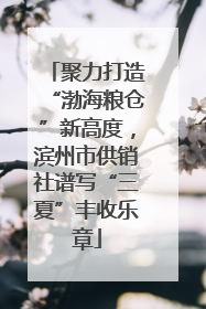 聚力打造“渤海粮仓”新高度，滨州市供销社谱写“三夏”丰收乐章