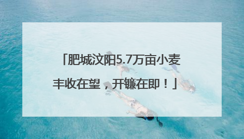 肥城汶阳5.7万亩小麦丰收在望，开镰在即！