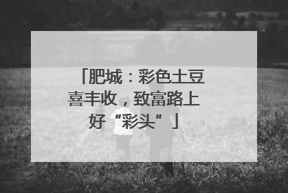 肥城：彩色土豆喜丰收，致富路上好“彩头”