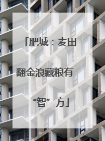 肥城：麦田翻金浪藏粮有“智”方