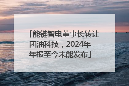 能链智电董事长转让团油科技，2024年年报至今未能发布