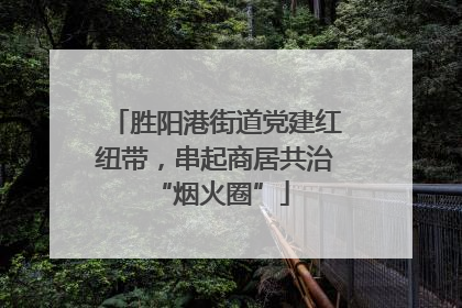 胜阳港街道党建红纽带，串起商居共治 “烟火圈”