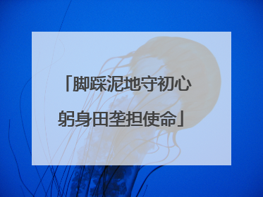 脚踩泥地守初心 躬身田垄担使命