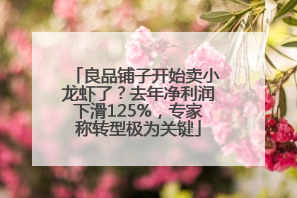 良品铺子开始卖小龙虾了？去年净利润下滑125%，专家称转型极为关键