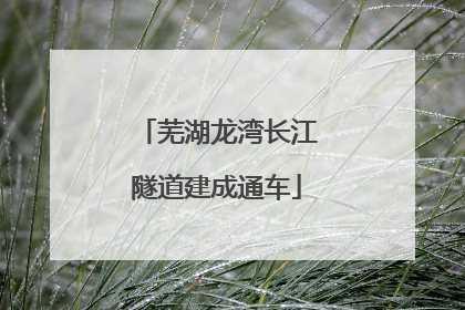 芜湖龙湾长江隧道建成通车