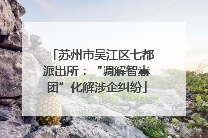 苏州市吴江区七都派出所：“调解智囊团”化解涉企纠纷