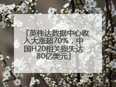 英伟达数据中心收入大涨超70%，中国H20相关损失达80亿美元