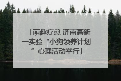萌趣疗愈 济南高新一实验“小狗领养计划”心理活动举行
