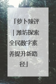 萝卜辣评｜潍坊探索全民数字素养提升新路径