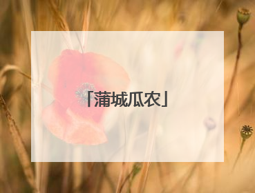 蒲城瓜农