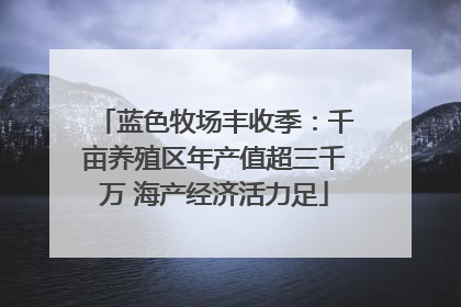 蓝色牧场丰收季：千亩养殖区年产值超三千万 海产经济活力足