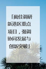 蔺佳调研新港区重点项目，强调协同发展与创新突破