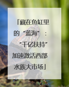 藏在鱼缸里的“蓝海”：“千亿扶持”加速激活西部水族大市场
