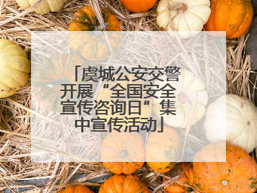 虞城公安交警开展“全国安全宣传咨询日”集中宣传活动