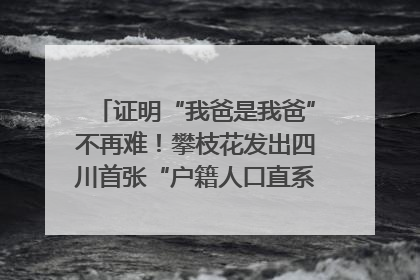 证明“我爸是我爸”不再难！攀枝花发出四川首张“户籍人口直系亲属关系谱”