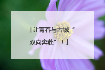 让青春与古城“双向奔赴”！