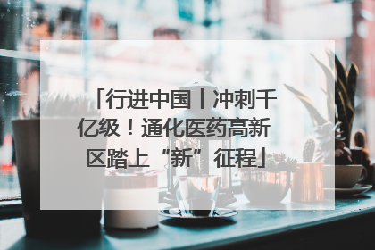 行进中国丨冲刺千亿级！通化医药高新区踏上“新”征程